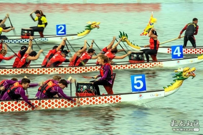 龙舟比赛画,一场自然美景的探索之旅