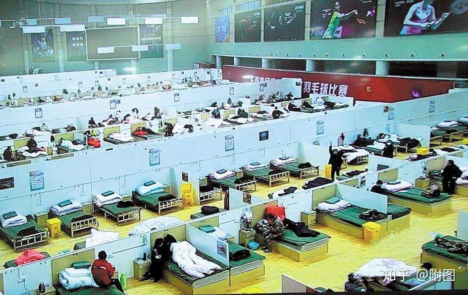 北美最新新冠疫情动态下的自然美景之旅,寻找内心的宁静与平和