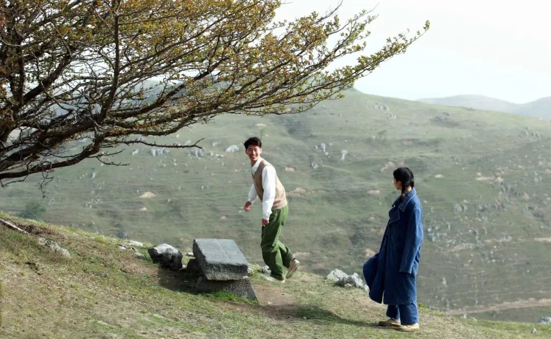 电影山楂树之恋,一场自然美景的旅行,寻找内心的宁静与平和