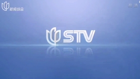 电视台频道直播,背景、历程与影响