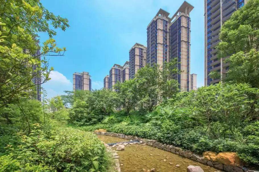 惠州中洲天御最新资讯,巷弄深处的美食秘境——一家特色小店的独特魅力