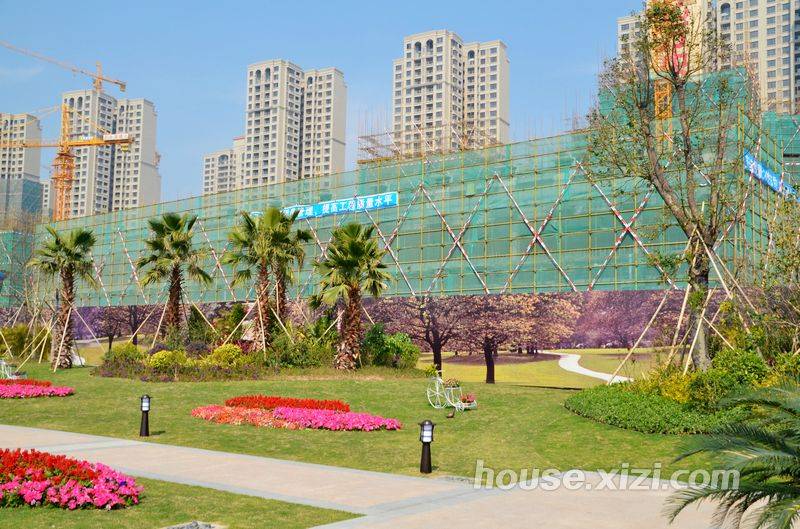 惠州中洲天御最新资讯,巷弄深处的美食秘境——一家特色小店的独特魅力