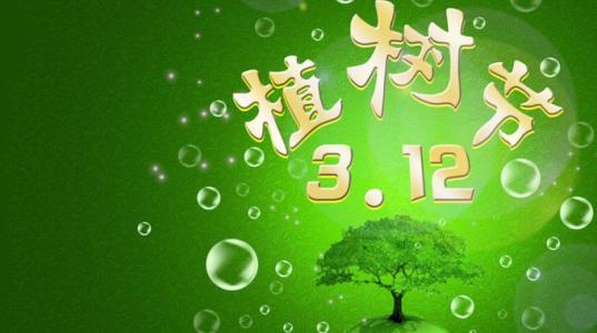 红橡木行情,一棵树的成长与你的励志人生