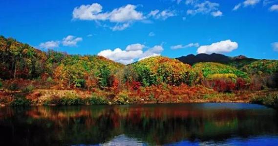 冰川网络上市,时代的见证与行业的里程碑