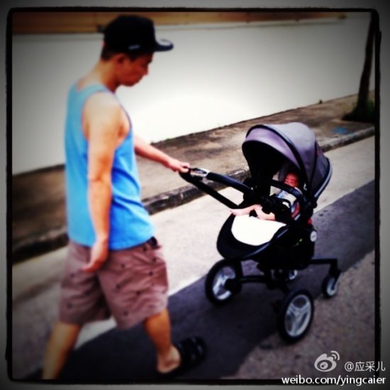 应采儿陈小春最新动态,拥抱自然,寻找内心的宁静之旅