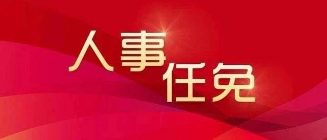 宜春市人事任免最新动态,观点论述