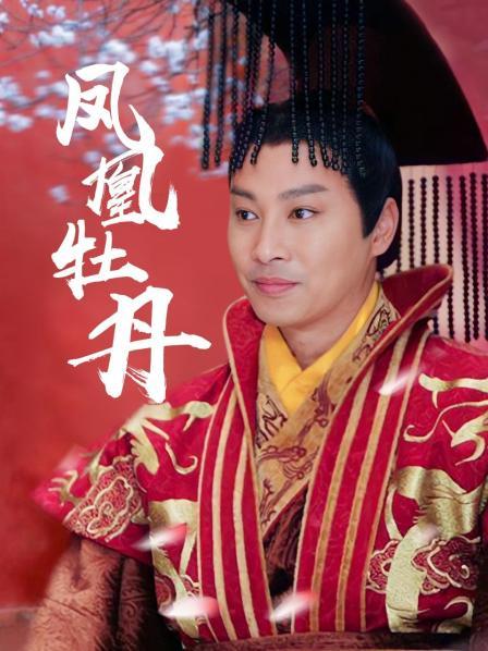 凤凰牡丹电视剧全集免费观看——探寻小巷中的影视宝藏