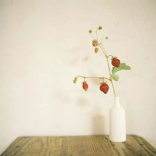 喃喃新声,小巷深处的独特音符