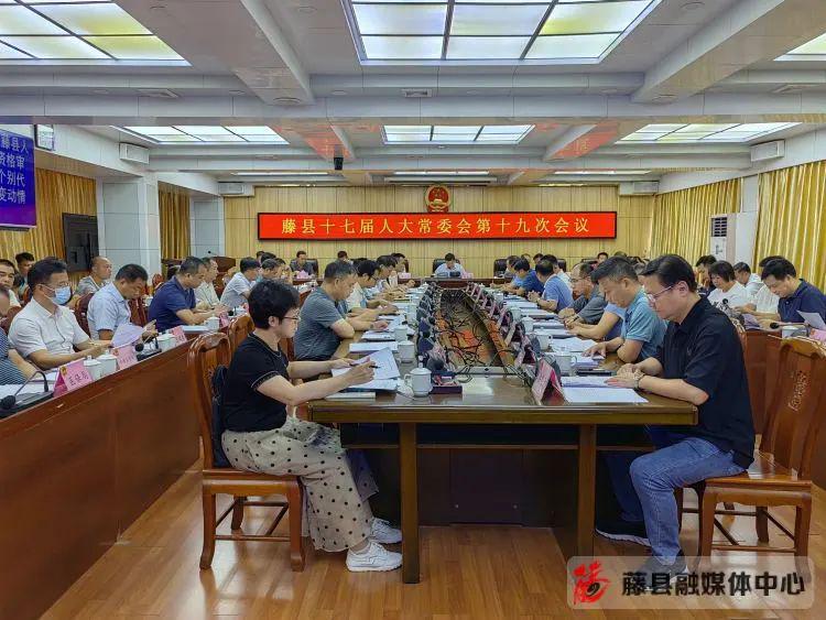 藤县局长最新任命,观点阐述