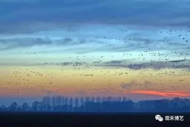 最新印尼资讯,一场充满爱与陪伴的温馨之旅