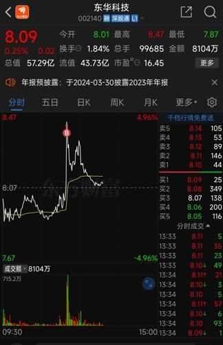 东华科技股票股吧,一场心灵与自然的美丽邂逅