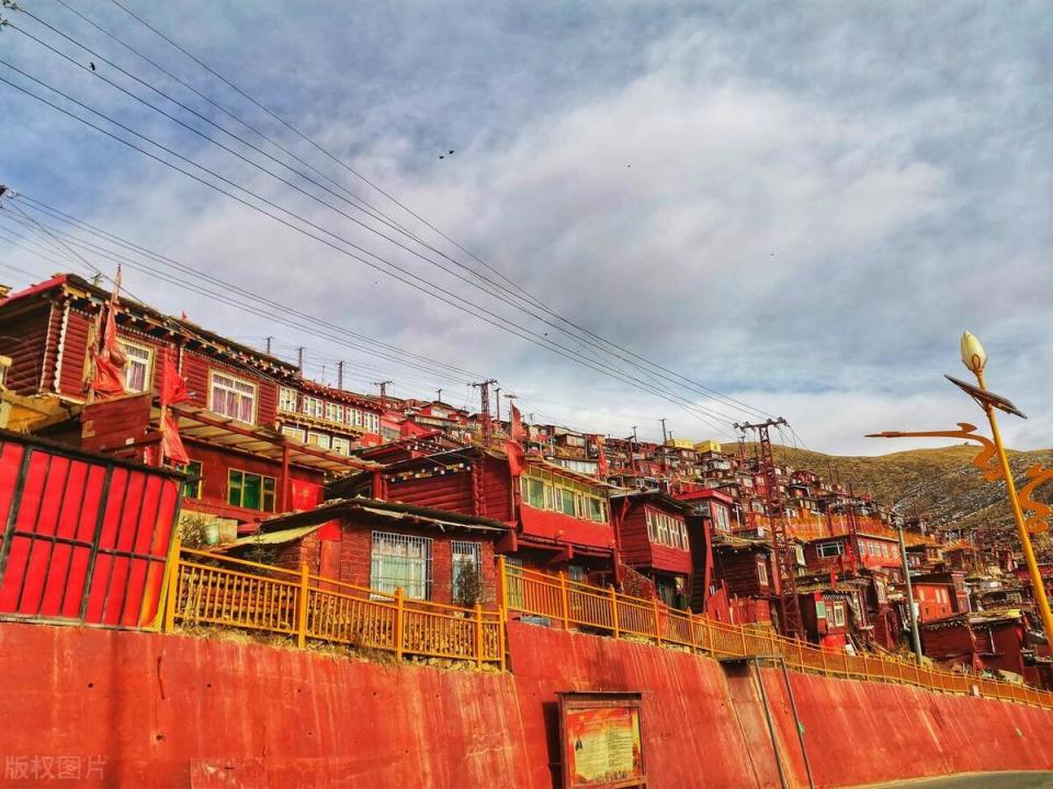 深圳最新疫情动态下的自然探索之旅,追寻内心的宁静与平和