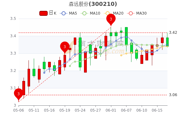 森远股份股票,回望其发展历程与地位