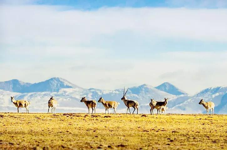 越狱 演员表,一场心灵与自然美景的旅行之旅