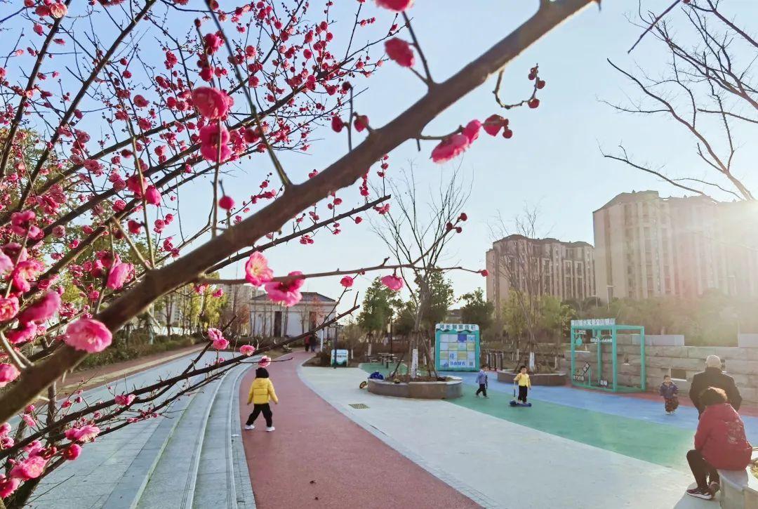 最新储备肉，科技重塑生活，未来美食触手可及