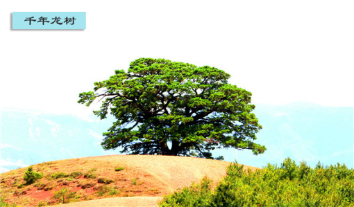 武钢防城港最新动态,一场探索自然美景的轻松之旅