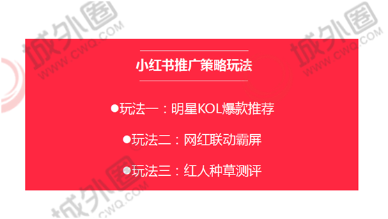 小红书热门动态,内容生态与社交价值的交织点