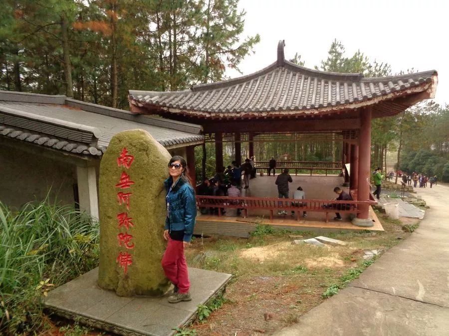 动车最新动态,一路上的温馨旅程