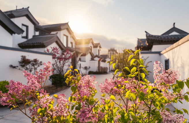 绿城比赛,一场与自然的亲密接触,寻找内心的宁静之旅