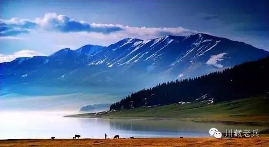 长钢最新资讯,一场探索自然美景的旅行,寻找内心的平和宁静