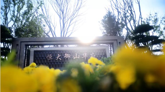 安顺开发区的新领导们,与自然美景的诗意邂逅