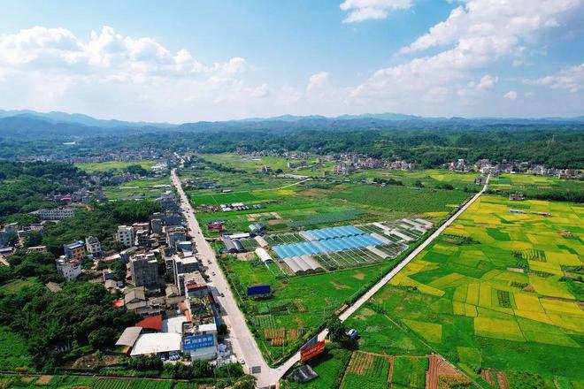 安顺开发区的新领导们,与自然美景的诗意邂逅