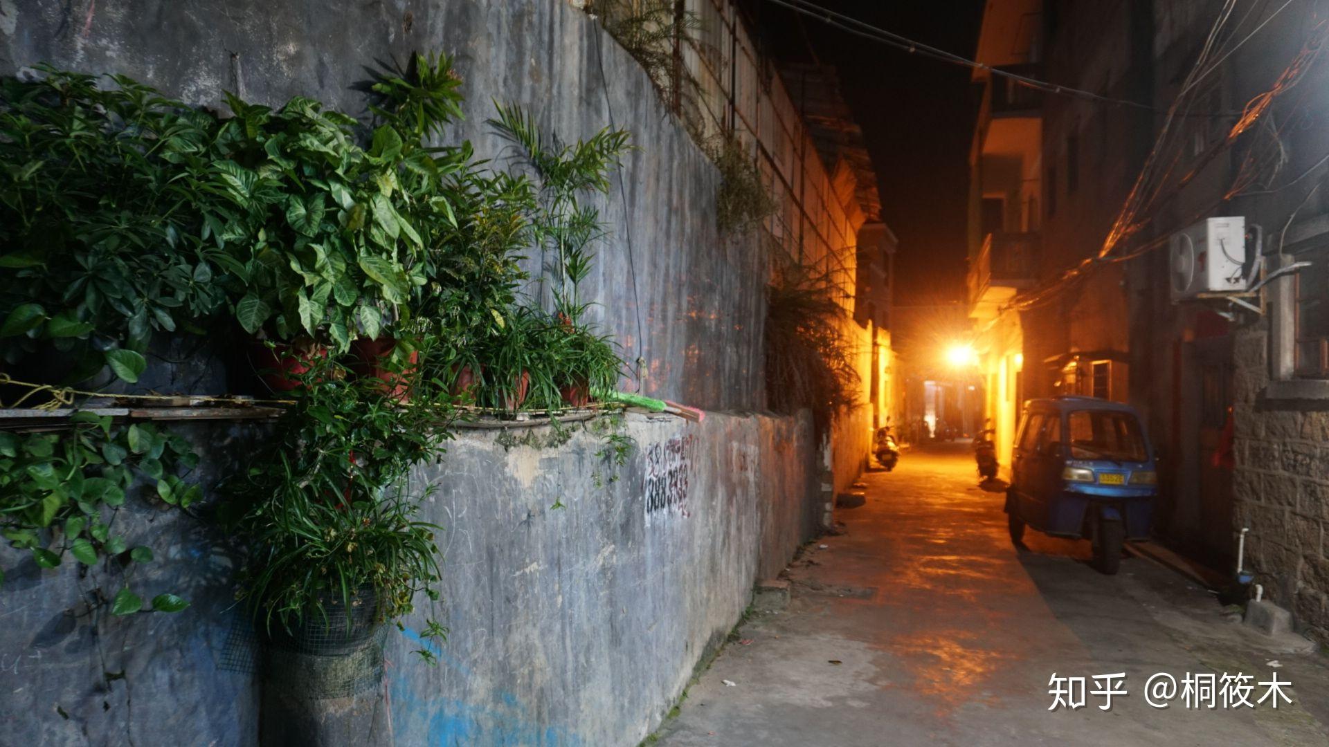 最新疫情决定,小巷深处的独特风味