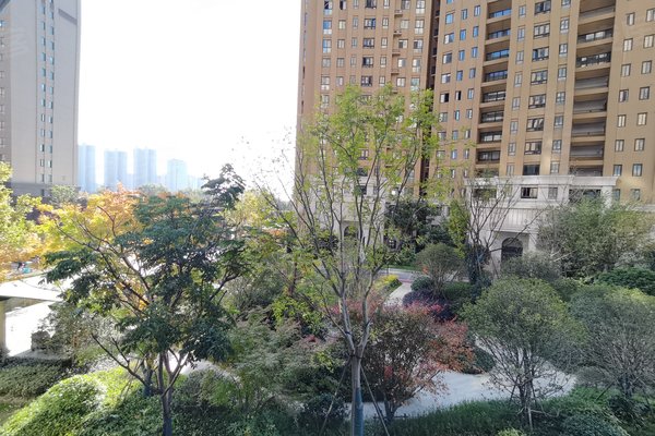 奥体玫瑰园的温暖价格