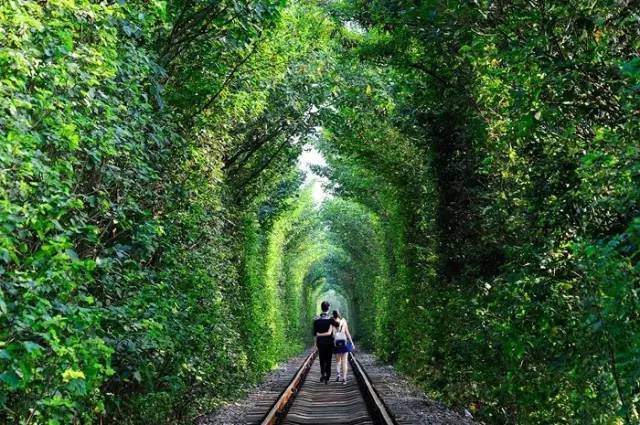 材料上市公司,一场与自然美景的浪漫遨游