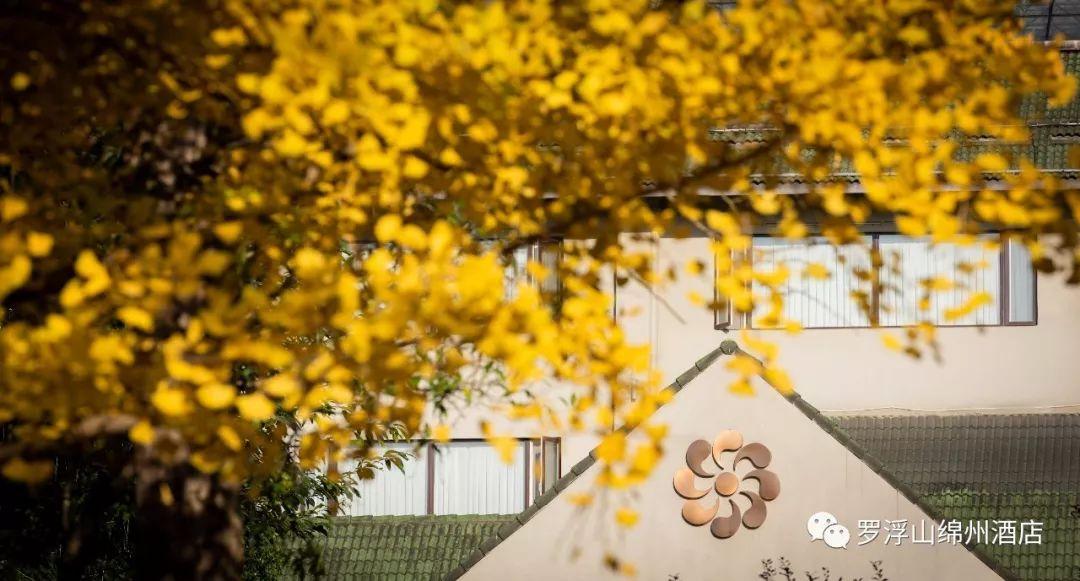 我有一剑最新章节,自然美景之旅,寻找内心的宁静与平和