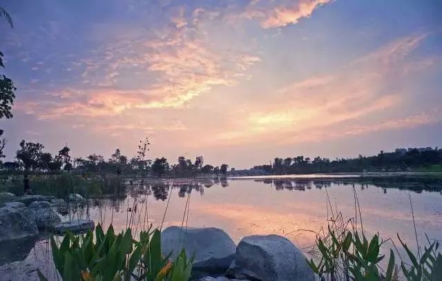 最新地铁图,一场自然美景的探索之旅,带你远离尘嚣,发现内心的宁静
