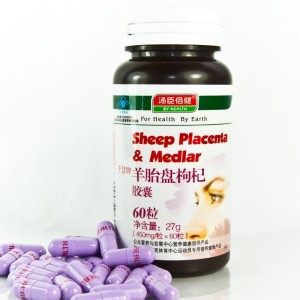 羊胎盘胶囊价格,历史背景、重要事件与当下地位