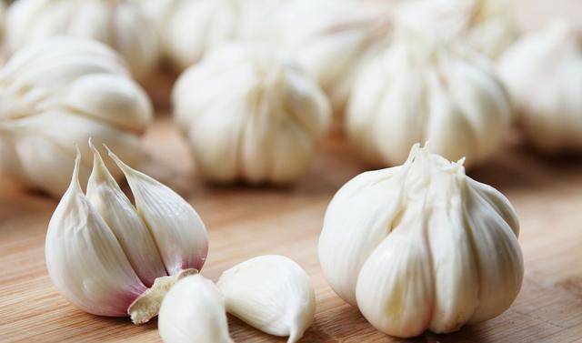 温馨金乡,大蒜情缘