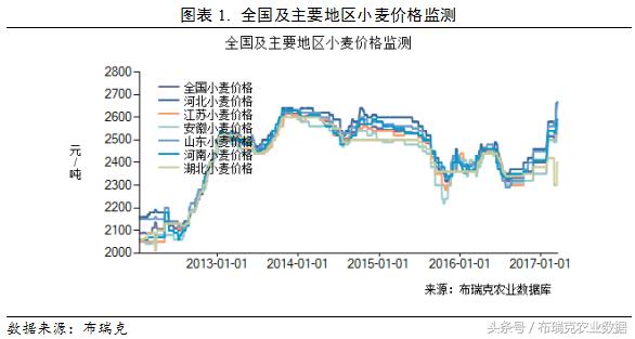 今日麦子价格走势最新图,市场分析及其影响因素