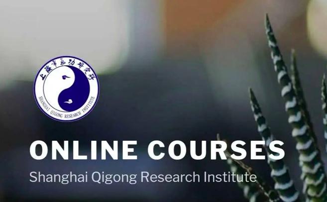 易筋经6分钟比赛视频,一窥传统武术的精华