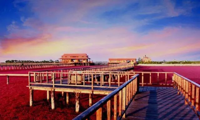 爱视集团上市,一场自然美景的启程,探寻内心的平和与宁静