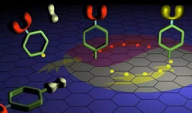 2025年2月 第48页