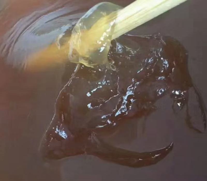 鹿角胶,小巷深处的宝藏,探寻一克真正的价值