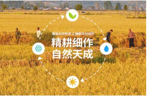 华氏宝贝米粉最新资讯