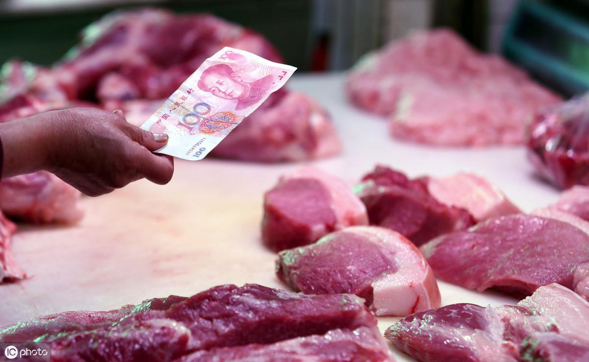 温氏最新猪肉价格,时代的印记与市场的波动