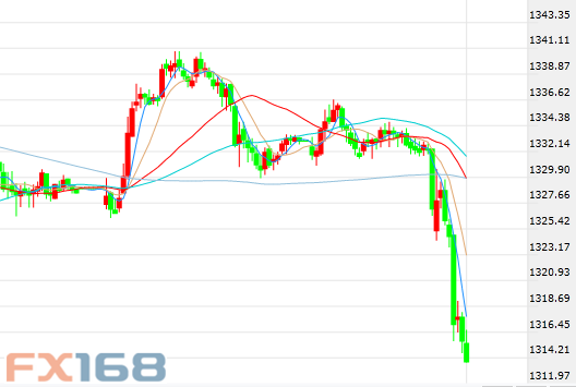今日花生最新价格,市场走势分析与预测