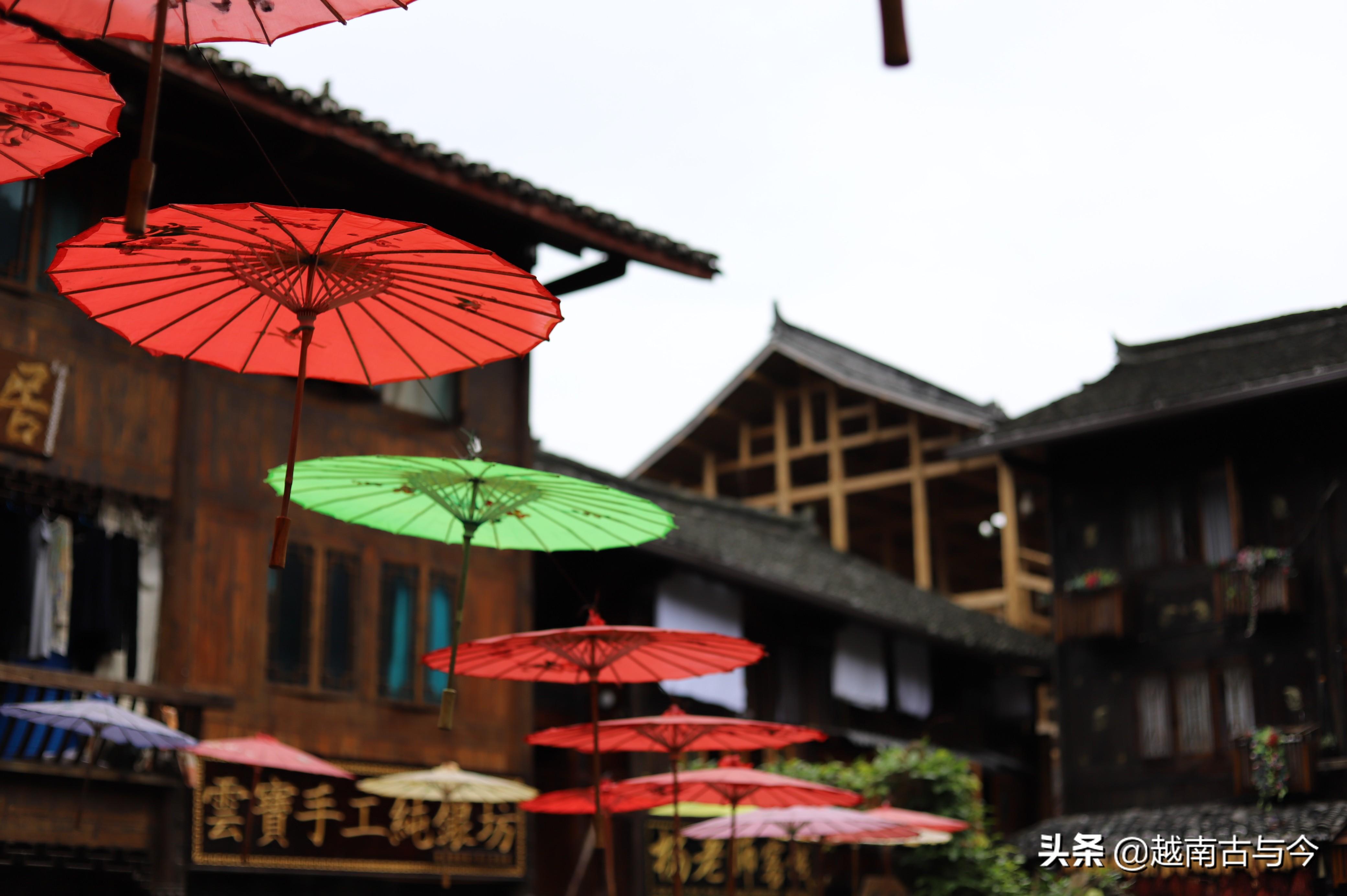 最新户籍改革政策下的独特小巷故事——探寻隐藏的特色小店