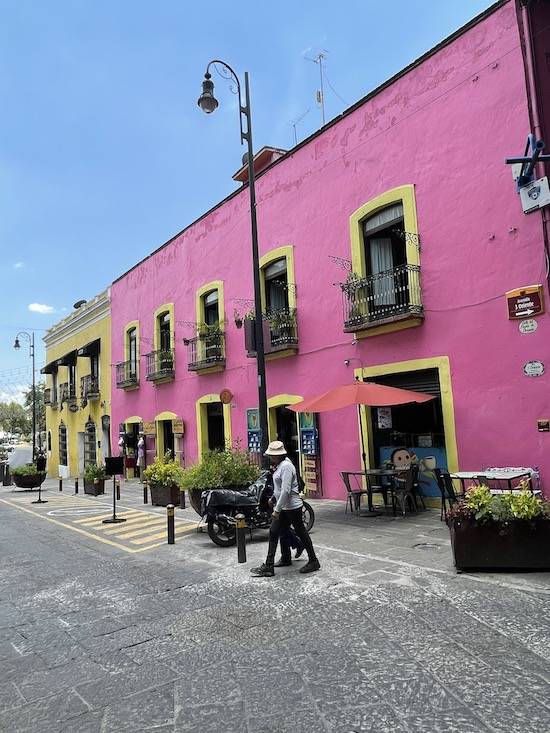 最新墨西哥动态🌴🌞