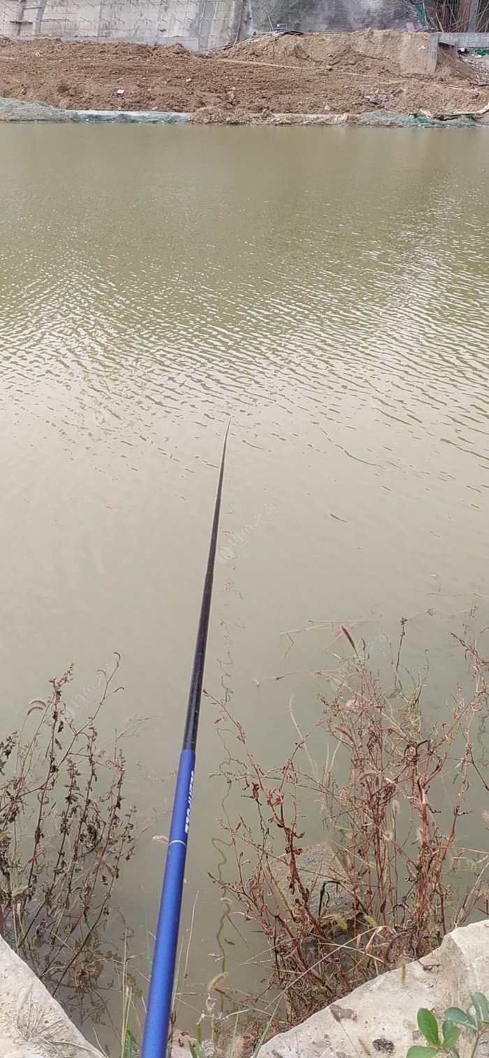 最新延安钓鱼资讯🎣🌿