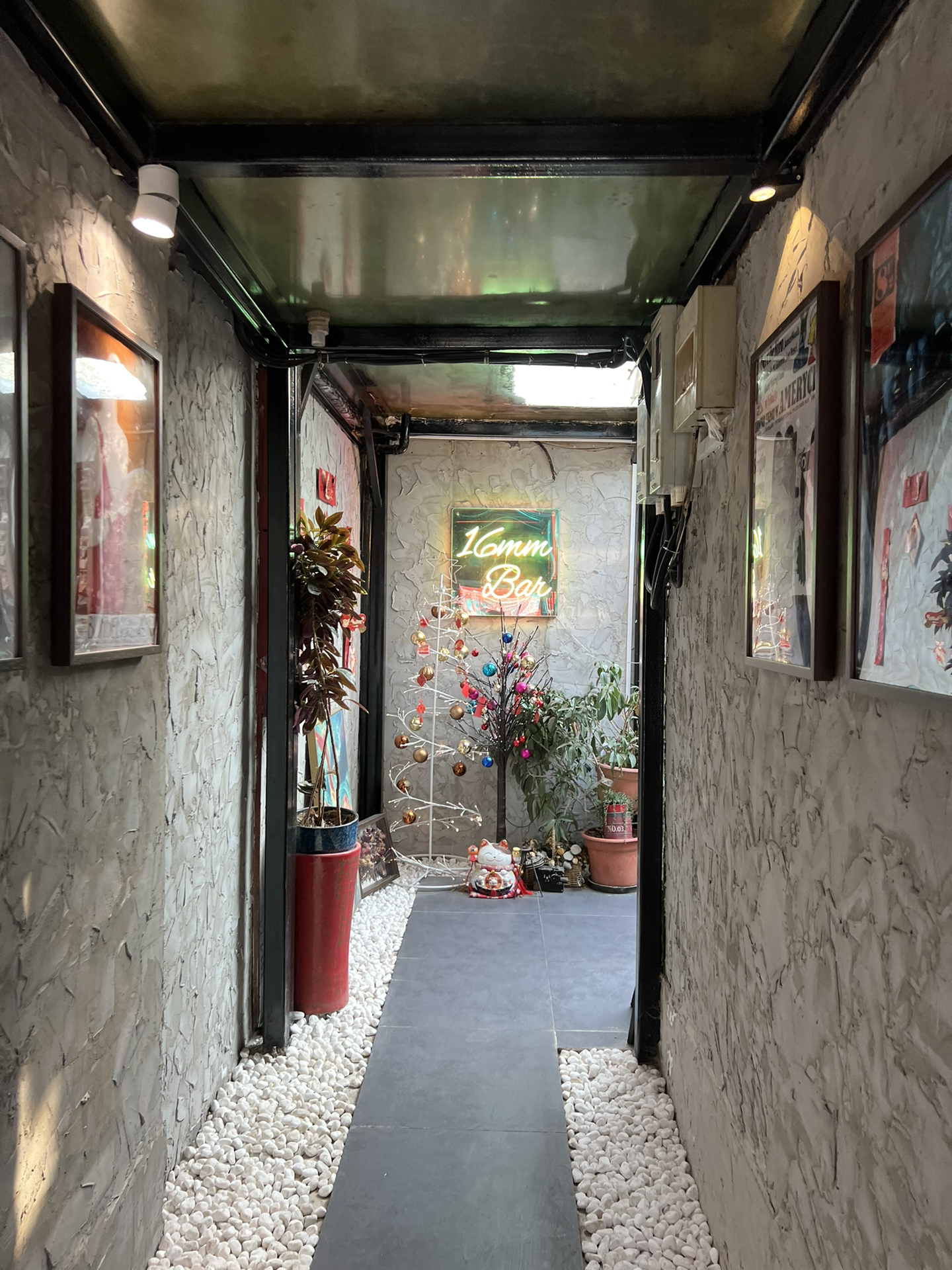 政治揭露最新,小巷深处的政治特色小店