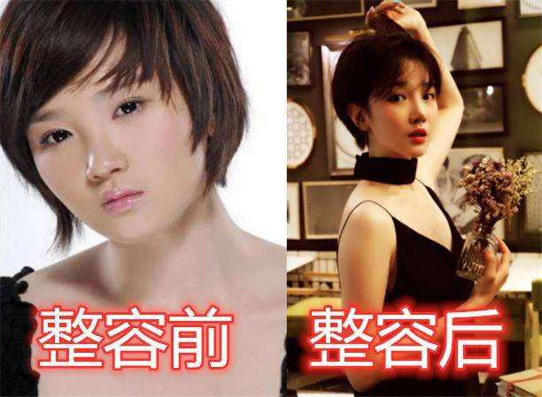 蜂鸟 演员表——一部备受瞩目的电视剧的全阵容介绍