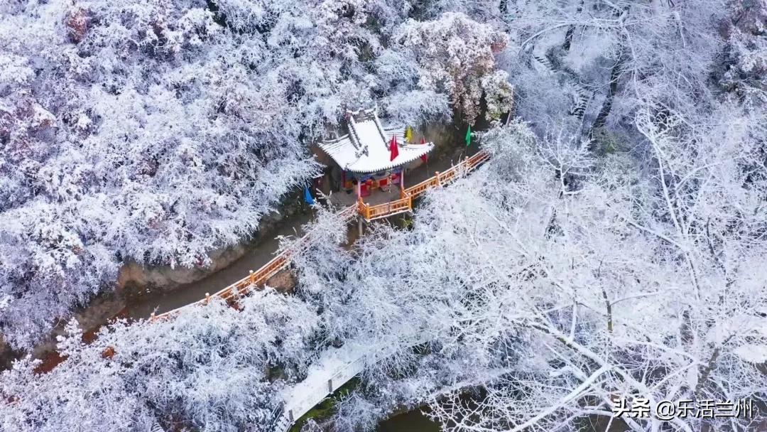 最新解封机型,科技前沿的璀璨明珠