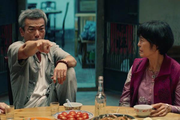 张琪演员,演技的深度与影响的多维度分析