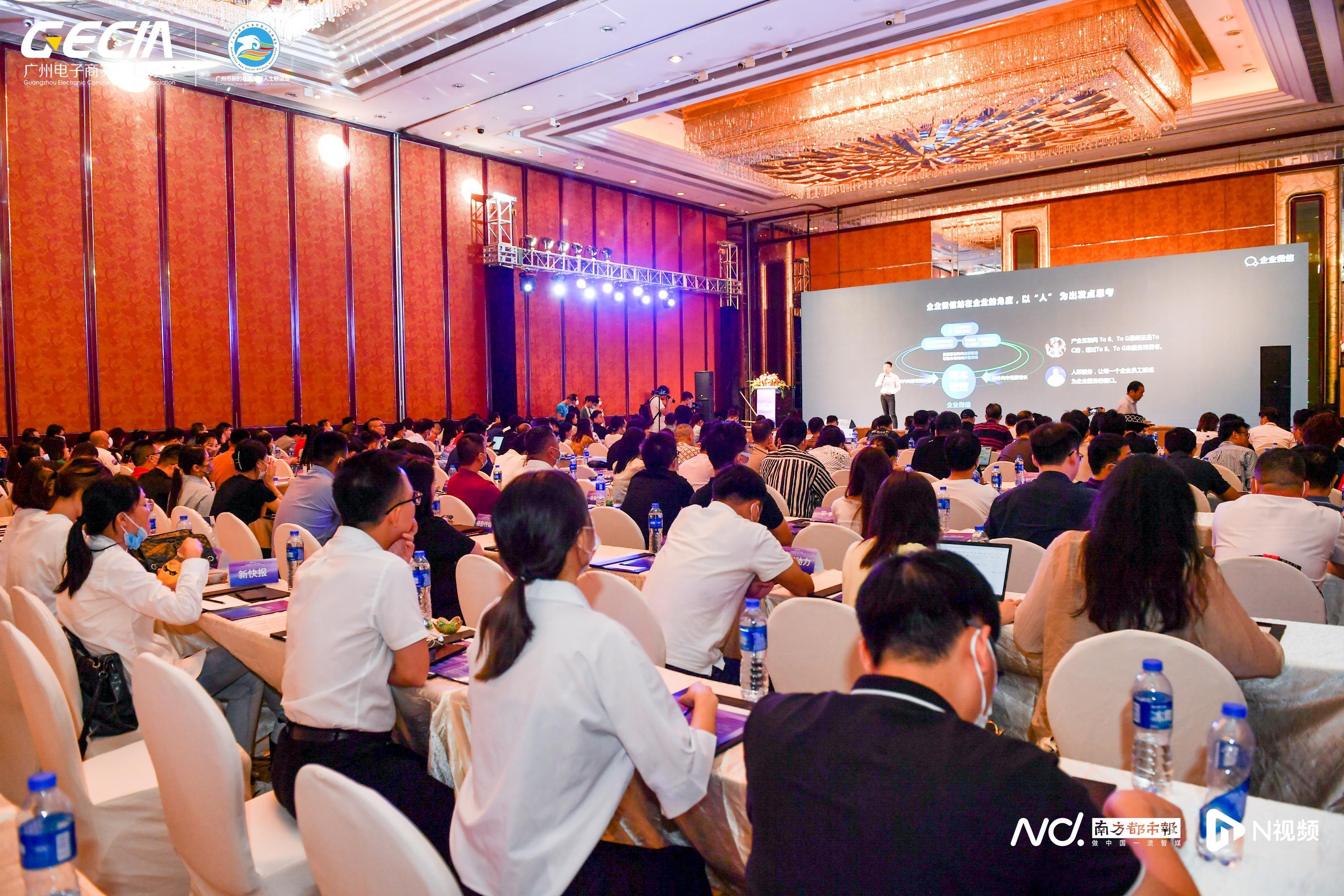 双鹭来那度胺最新动态,变化中的学习之旅,自信与成就感的源泉