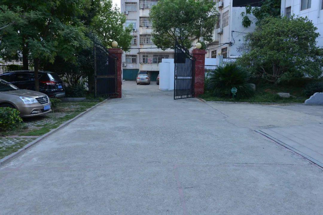 湖北龙感湖动态资讯